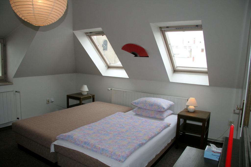 Penzion OrchideaOpočno 部屋 写真